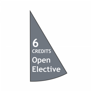 Total: 6 Open Elective Credits