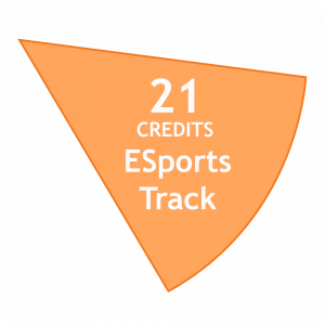 Total: 21 ESports Tack Credits